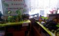 IMG_20130101_041352_новый размер.jpg
